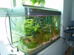 Ultra aquarium