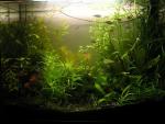80L_1