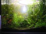 80L_4