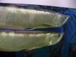 arowana