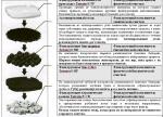 Схема закладки канистрового фильтра от TETRA