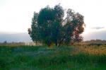 Романовка