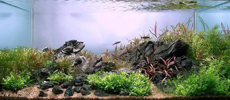 Shadows disappear at noon 2