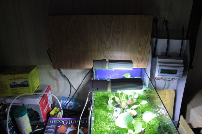 LED-Lamp 28led/13Wt
6000-6500k
   ,  .
220 .