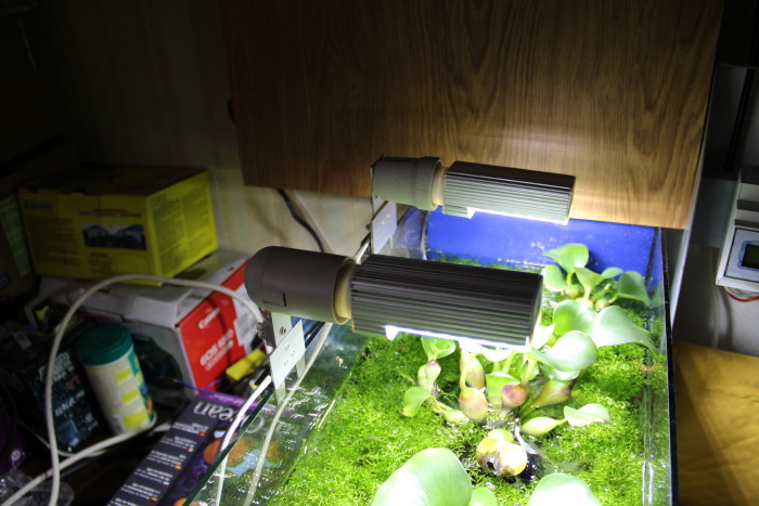 LED-Lamp 28led/13Wt
6000-6500k
   ,  .
220 .