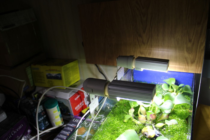 LED-Lamp 28led/13Wt
6000-6500k
   ,  .
220 .