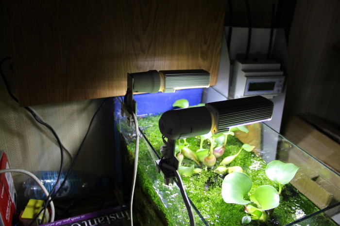 LED-Lamp 28led/13Wt
6000-6500k
   ,  .
220 .