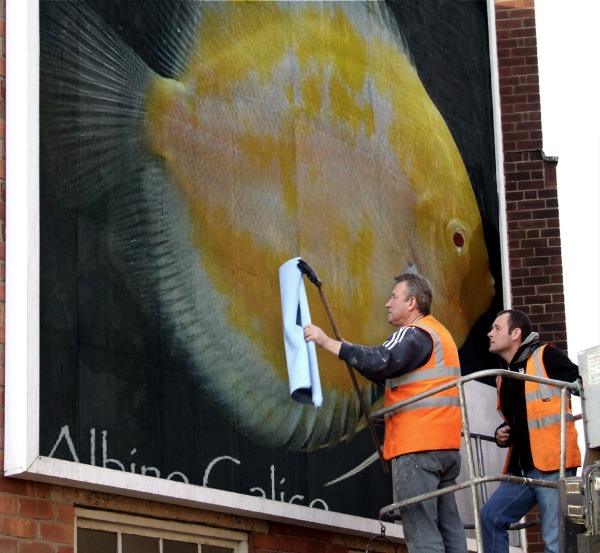 1509860 596130797123537 197799058 n