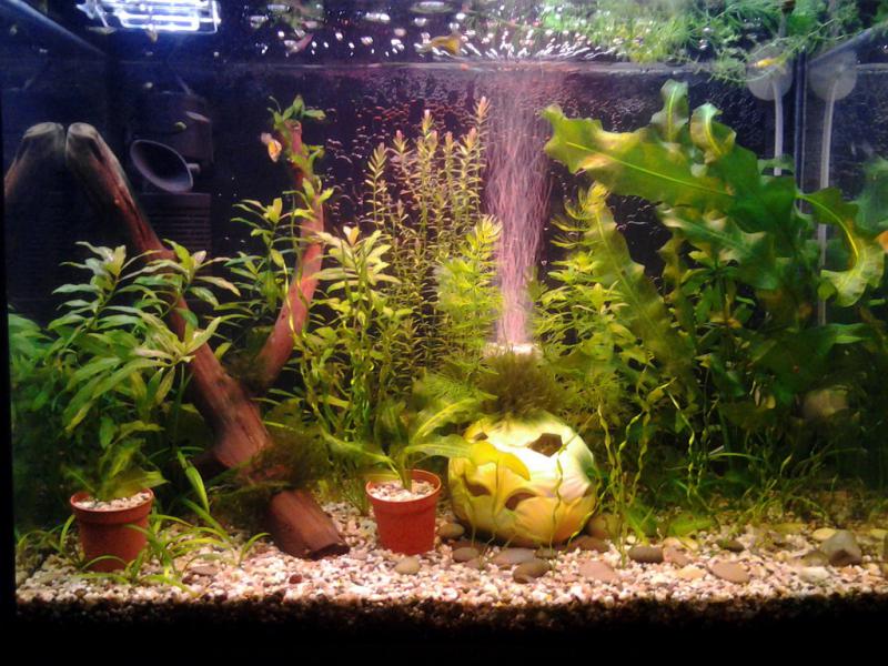 �������� 14.08.2013