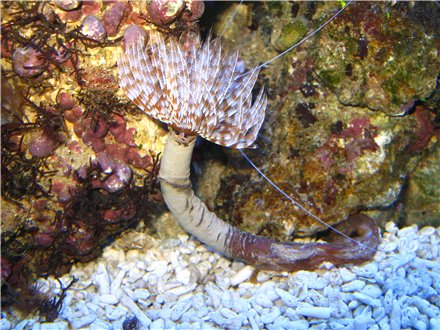 049048053052057057053055052