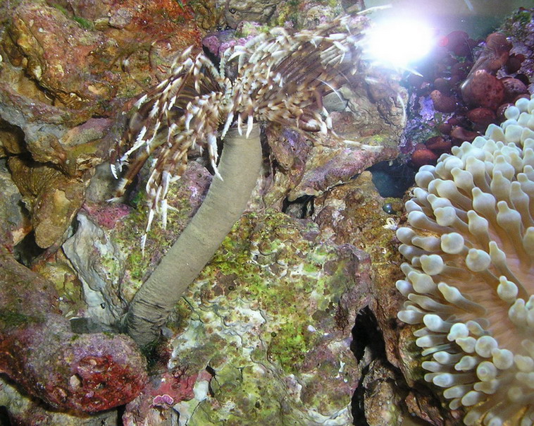 aqa.ru 20060425212919