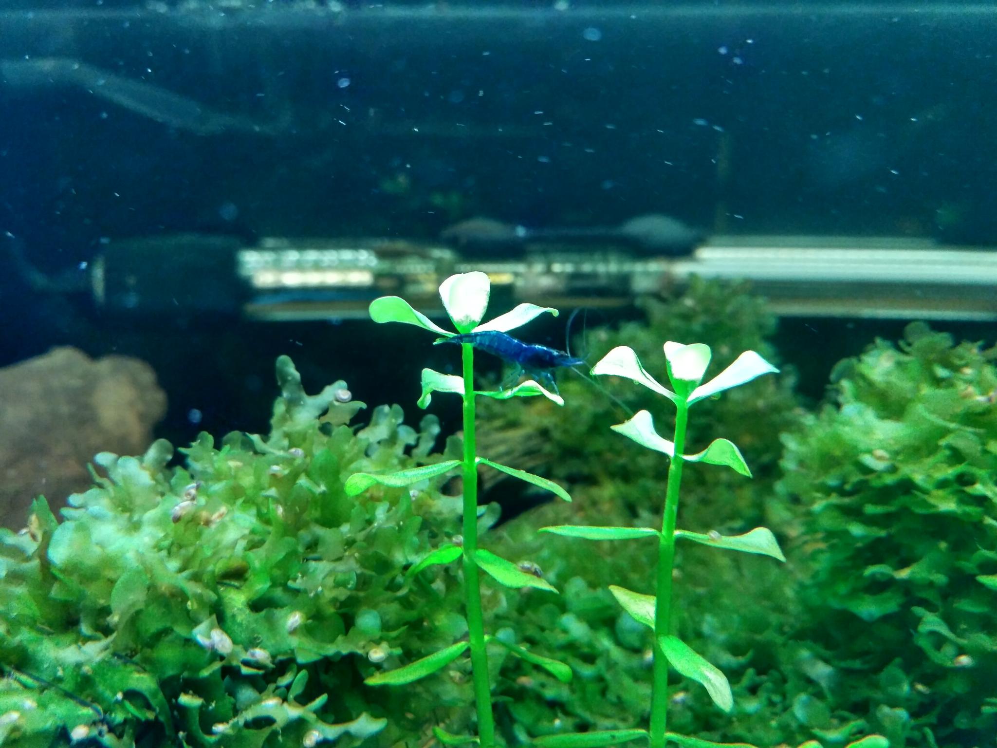 IMG 20170709 153857 HDR