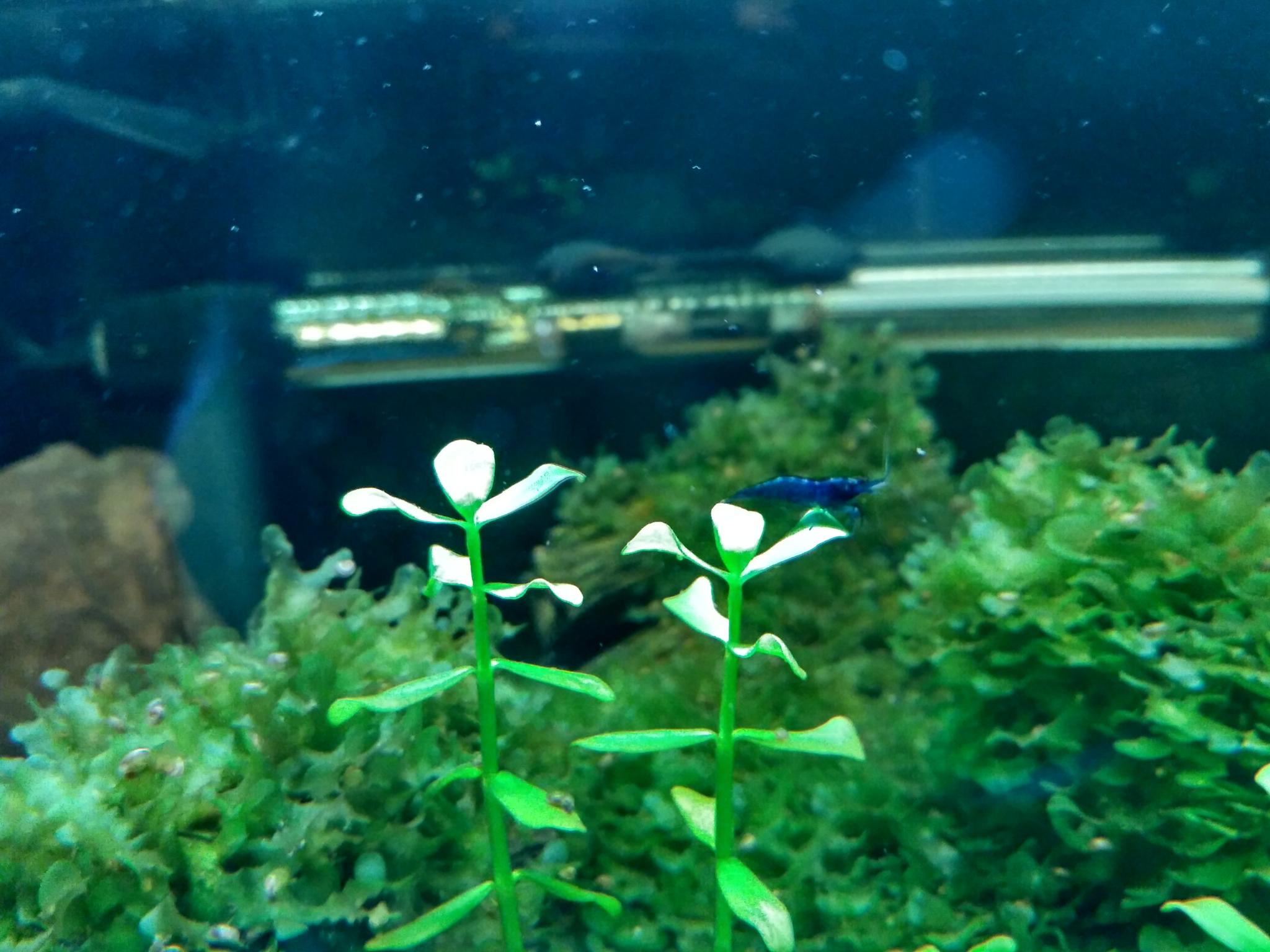 IMG 20170709 153911 HDR