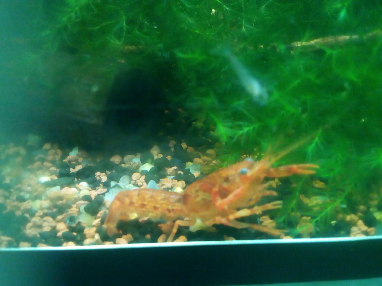 image 0.02.01.c17e18e3c631f9b040520ee39e608cd6a80b5d62ce6c715ac28730995b860a85 V