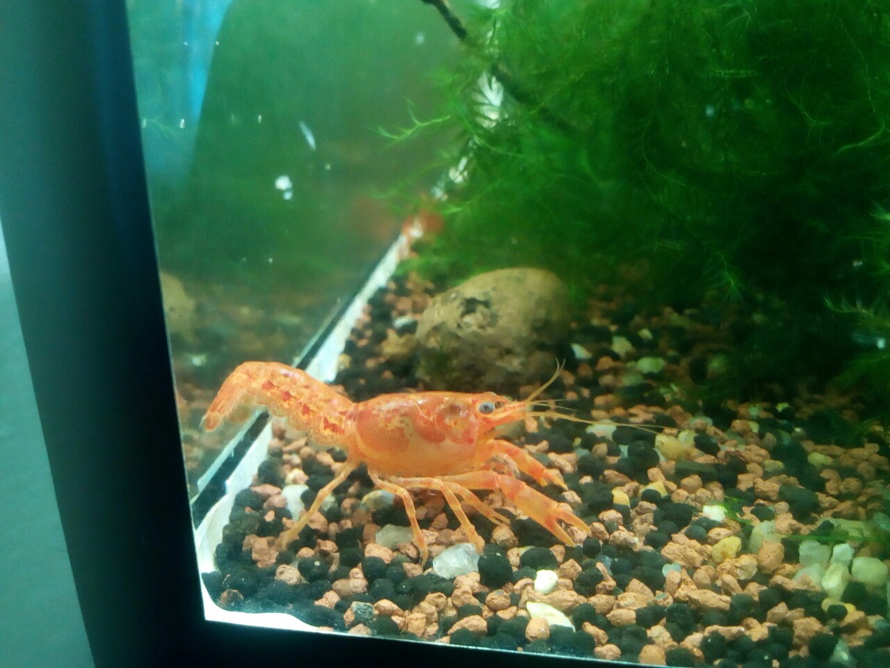 image 0.02.01.8440a5c29177b6645c2157d2a7f6a55014eba1fbf397af66cff738ac6f7de29d V