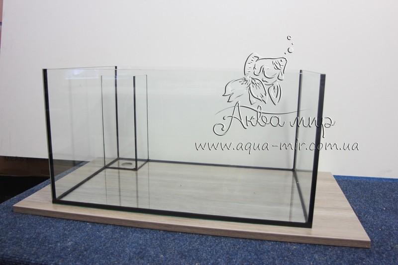 ���� ��� (51)