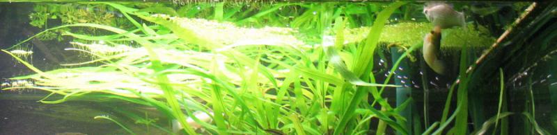 IMG 9529a