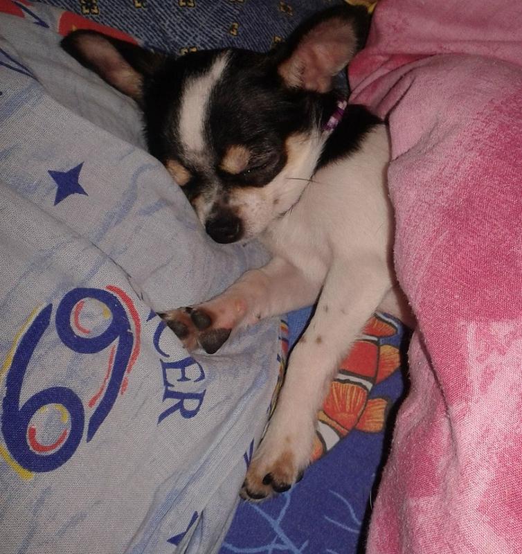 50327215 121757635543264 8865133719548067840 n