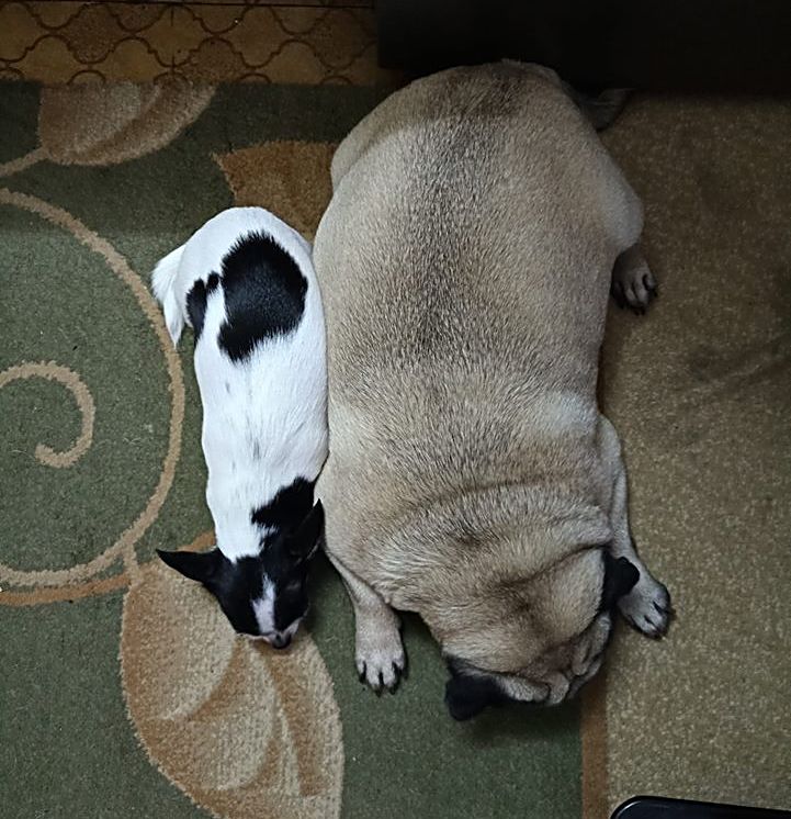 55692851 138589157193445 3587663672148754432 n