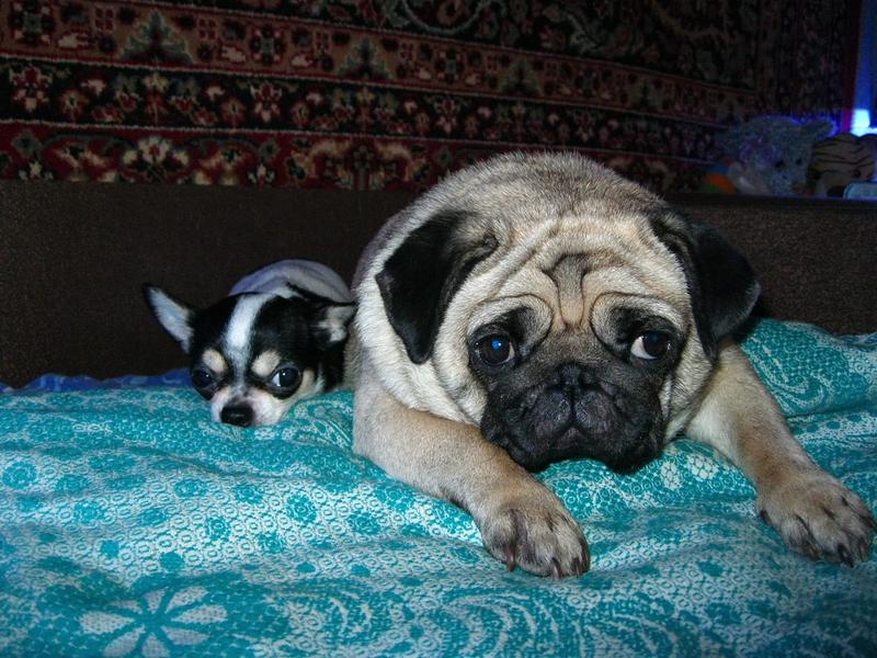 55780681 138589330526761 7701780881840537600 o