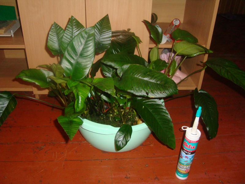 DSC01777