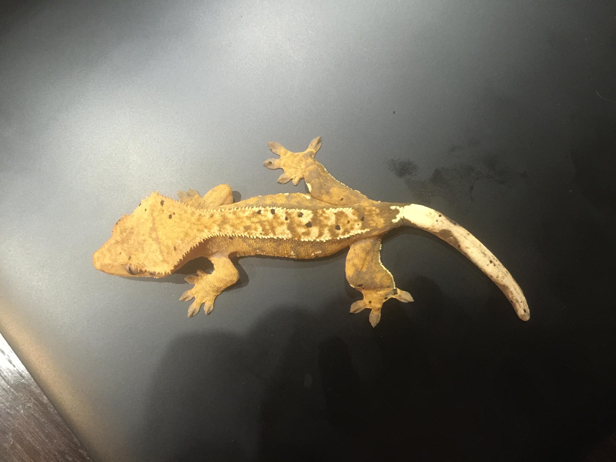 image 25 07 16 11 08 3