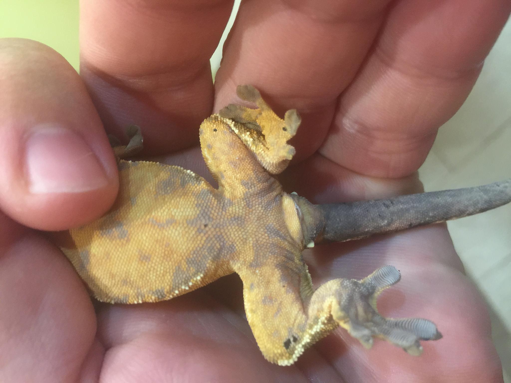 image 25 07 16 11 08 2