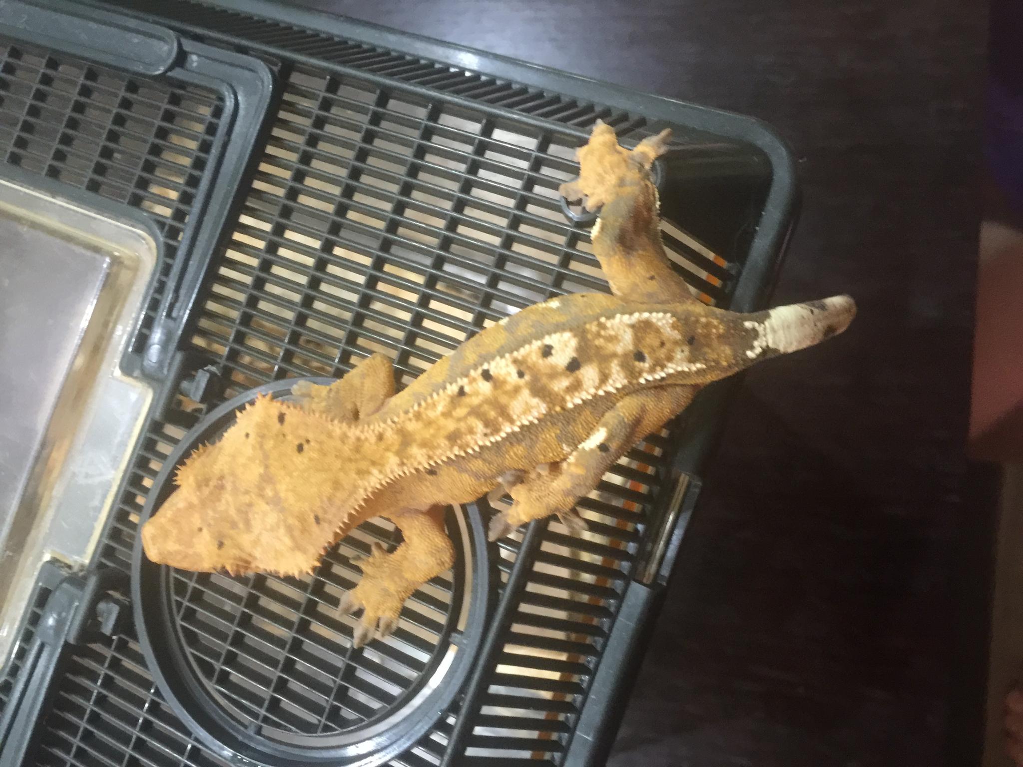 image 25 07 16 11 08