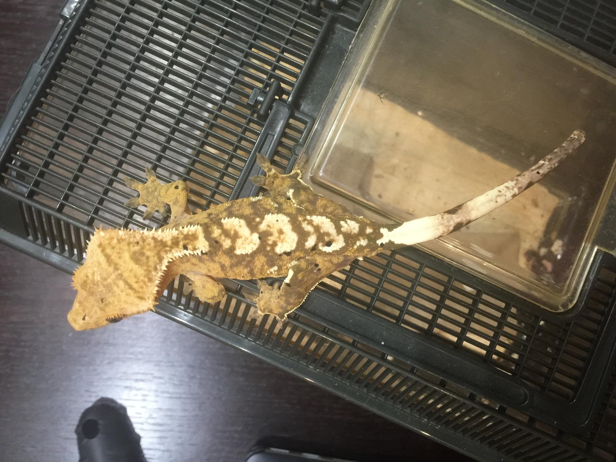 image 25 07 16 11 10