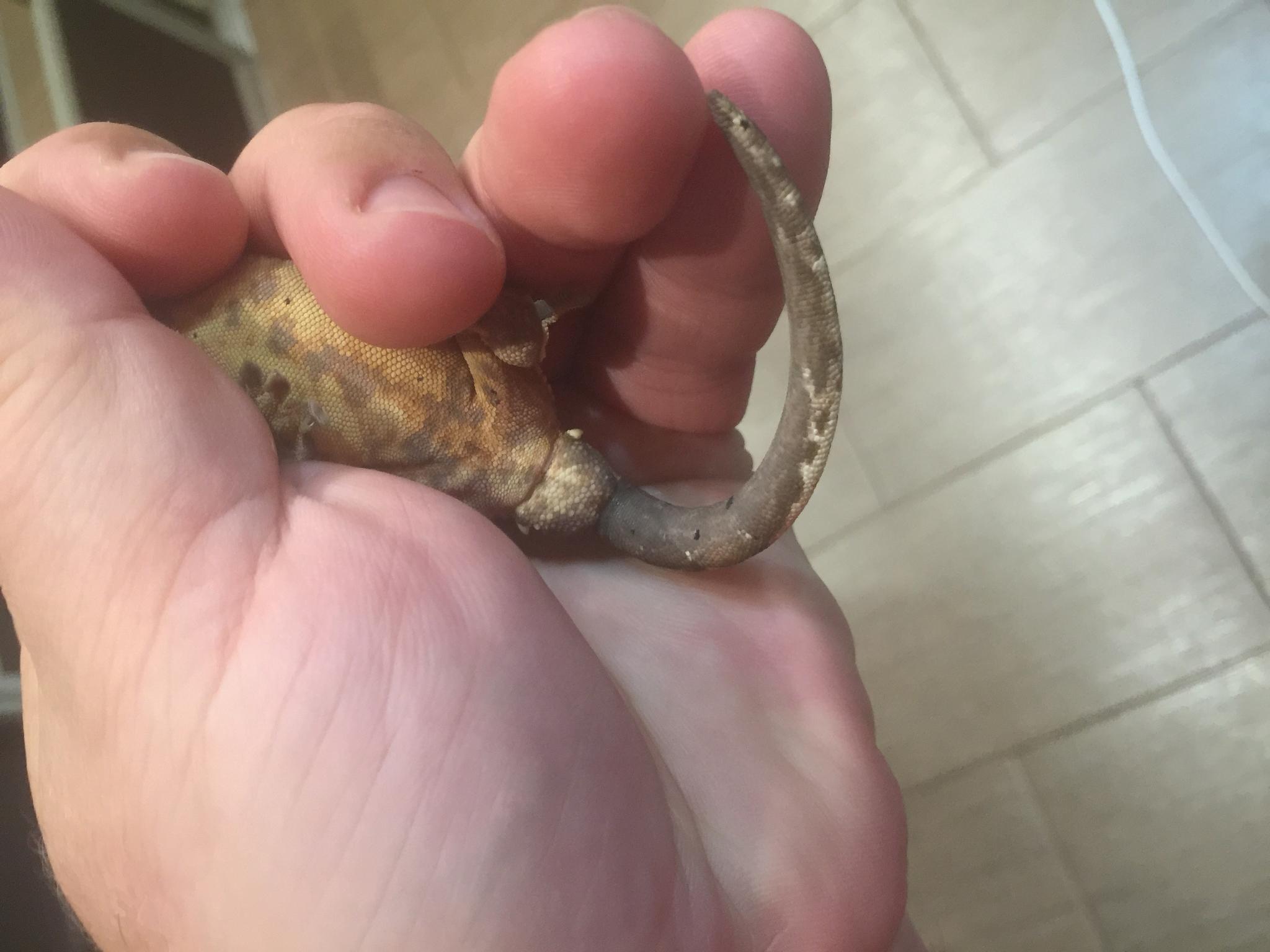 image 25 07 16 11 10 1