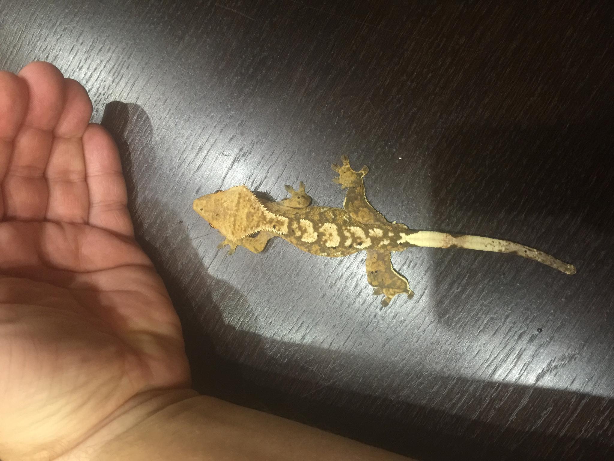 image 25 07 16 11 10 2