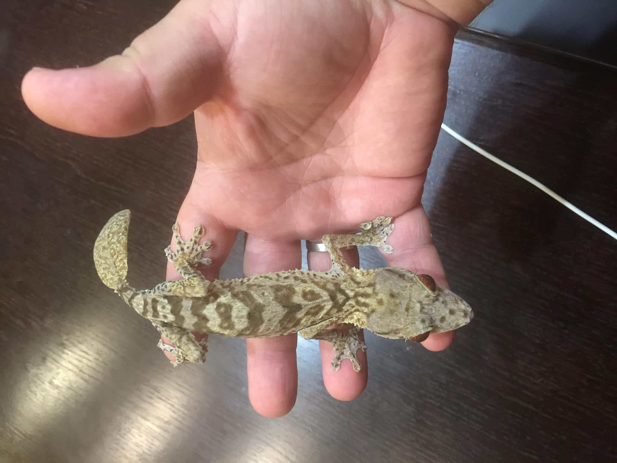 image 25 07 16 11 11