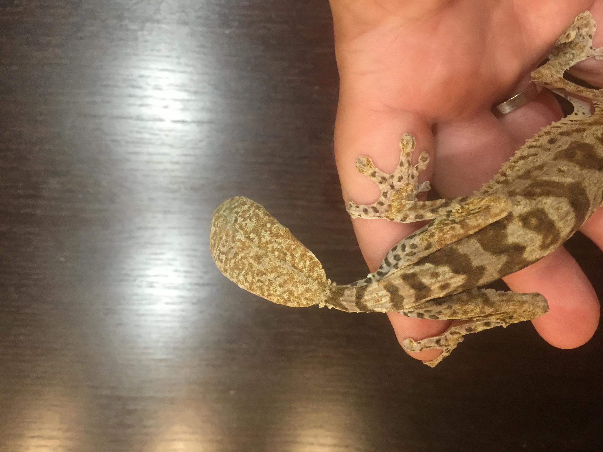 image 25 07 16 11 11 1