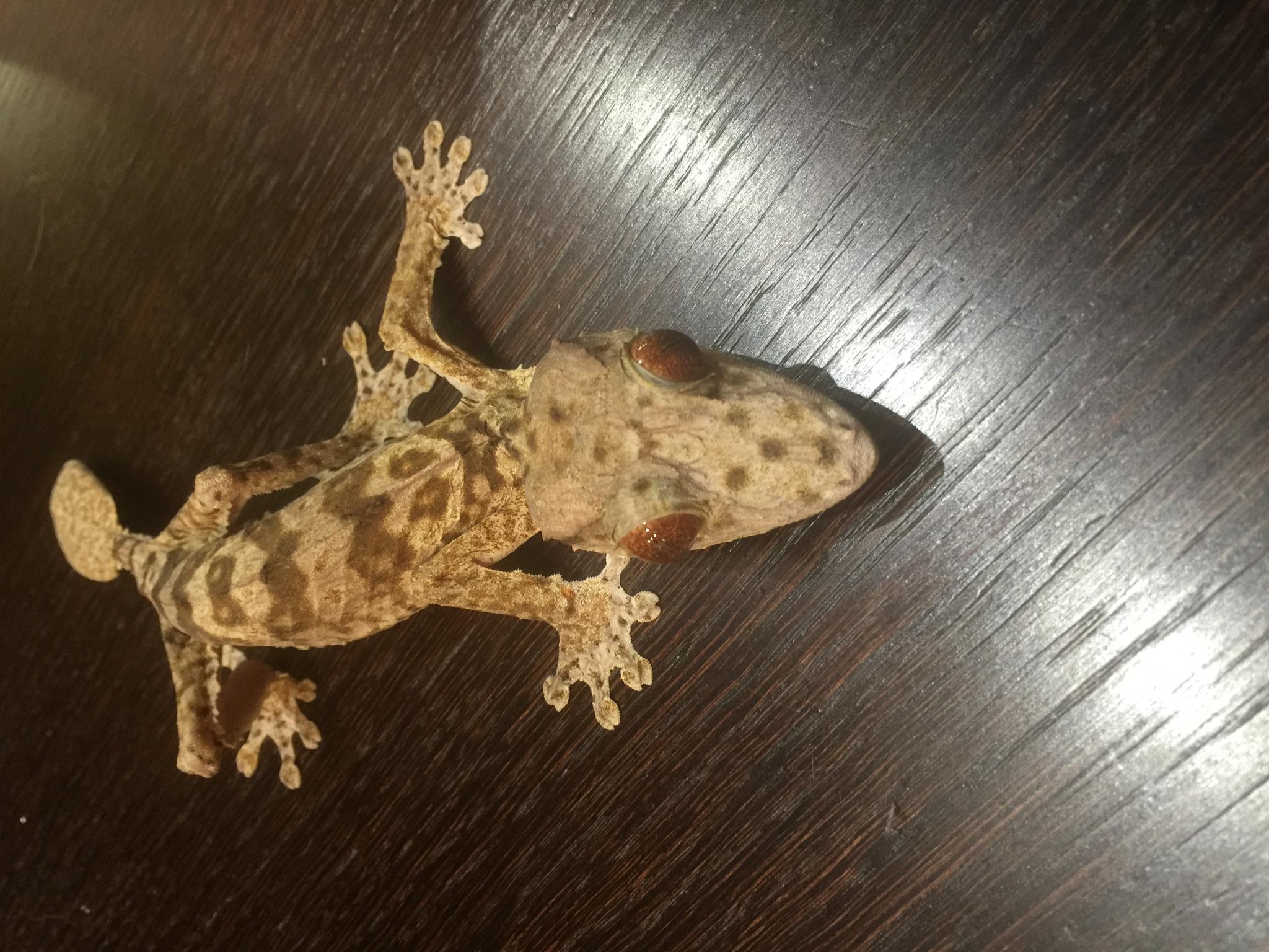 image 25 07 16 11 11 3