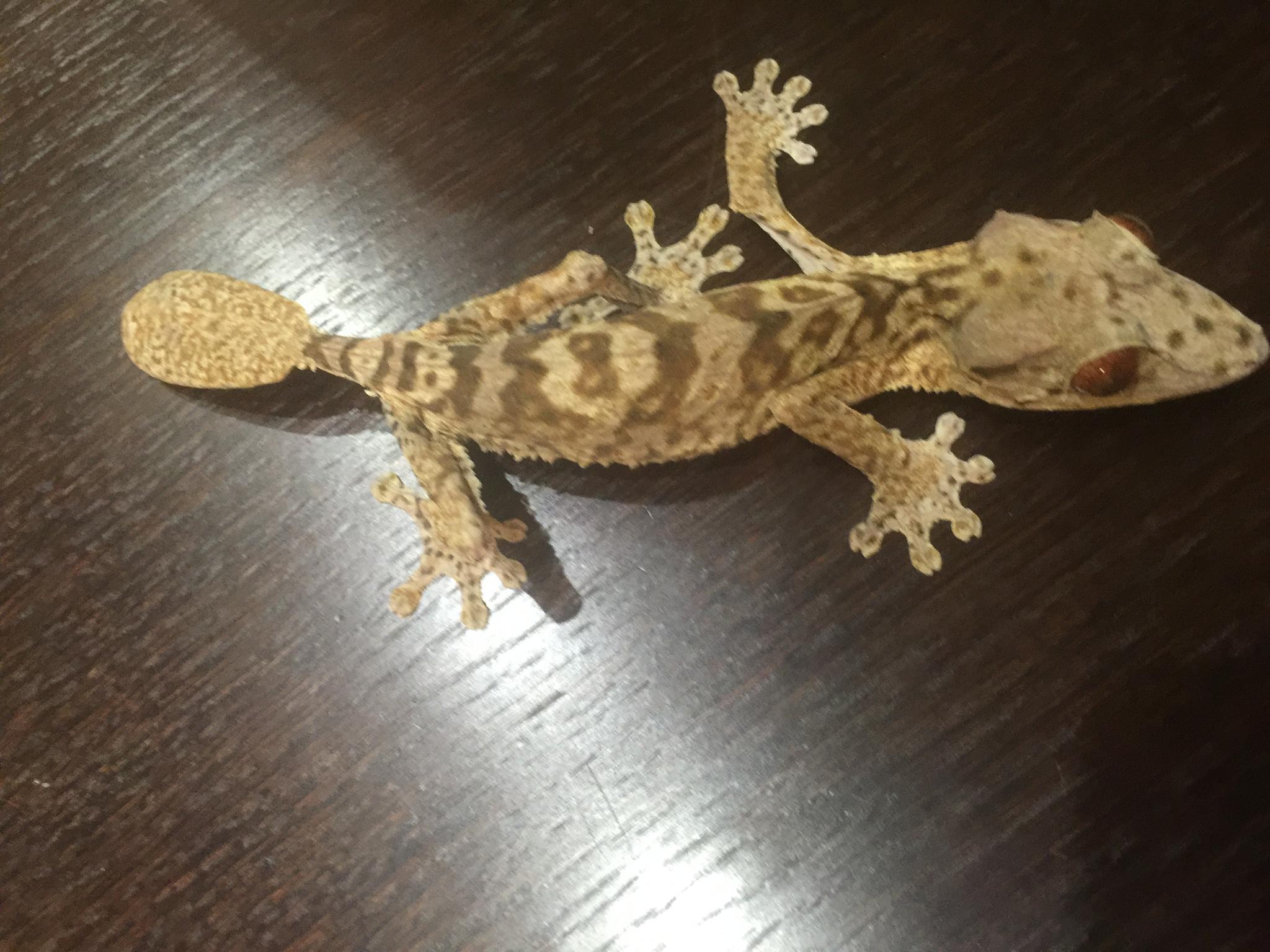 image 25 07 16 11 11 4