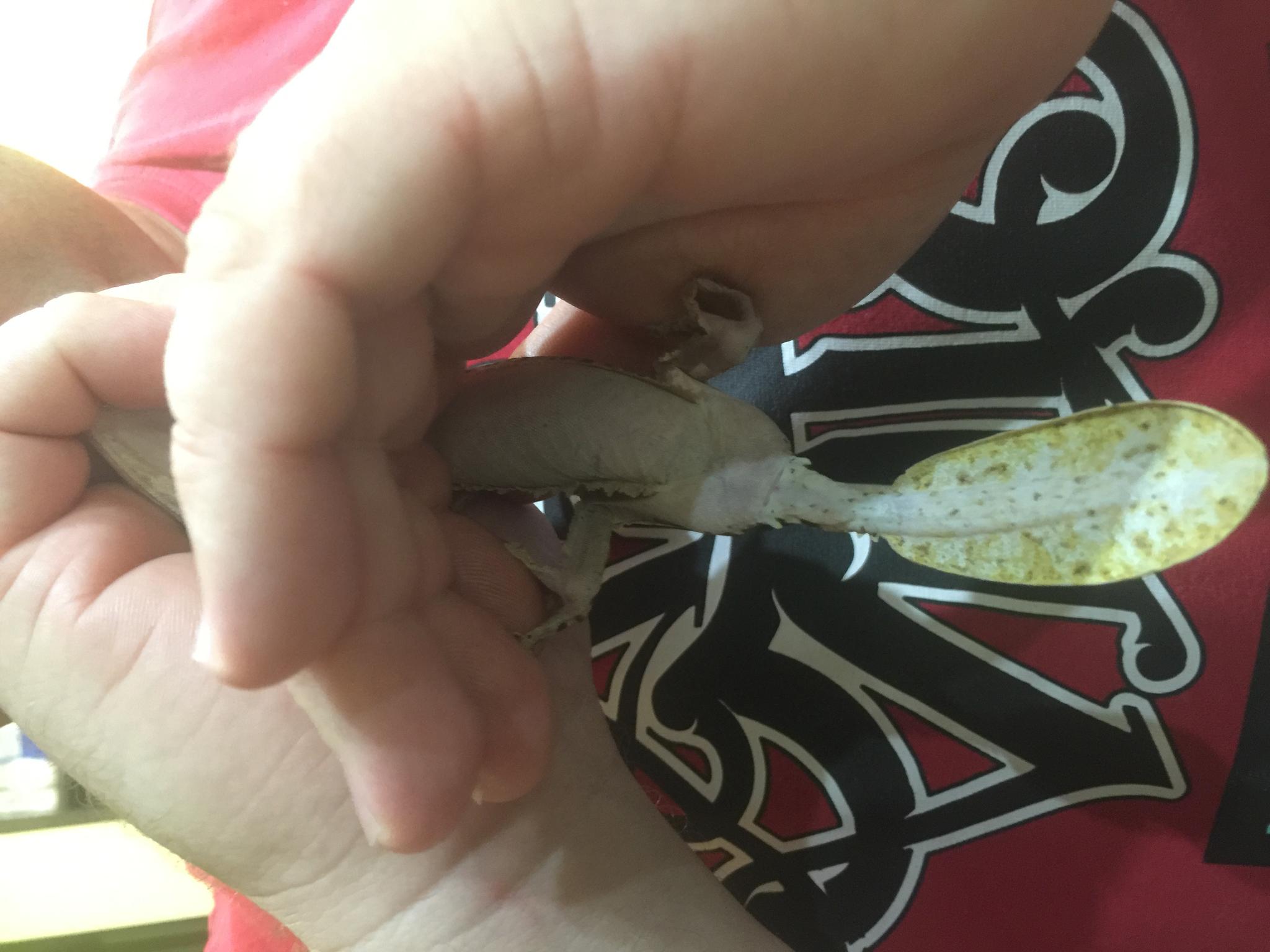 image 25 07 16 11 11 7