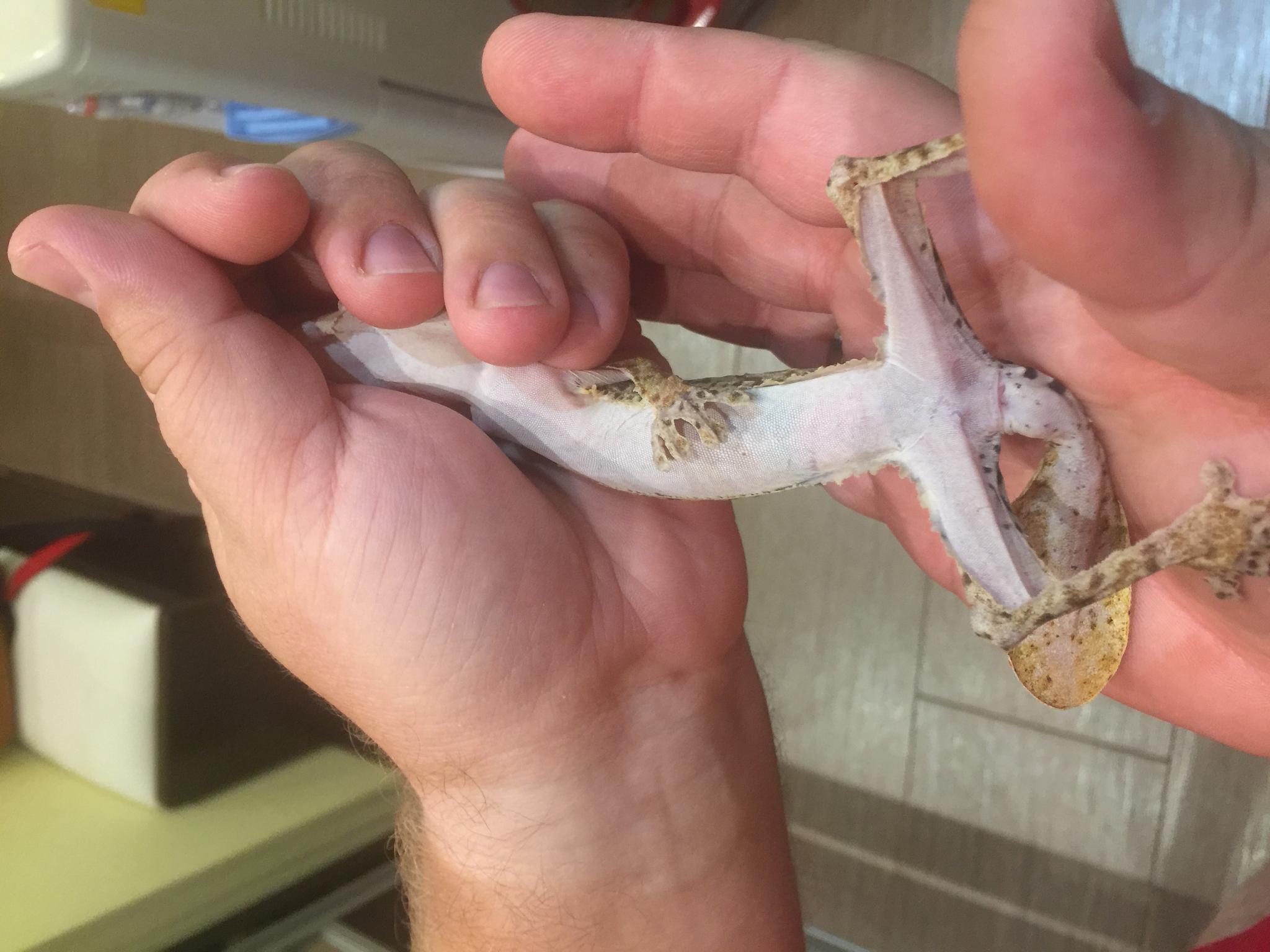 image 25 07 16 11 11 8