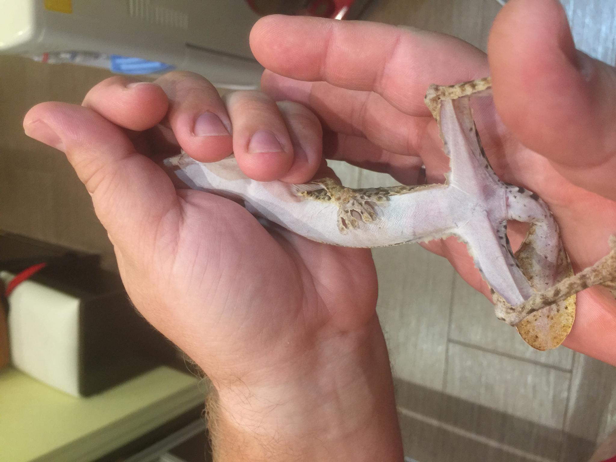 image 25 07 16 11 11 9