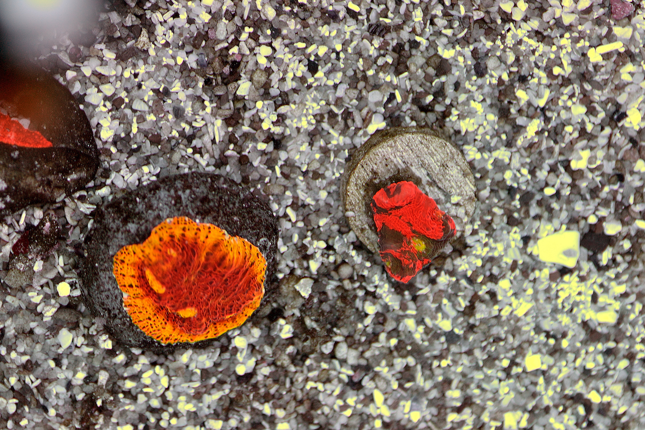 CB My Bugatti VS BPC Flamethrower6