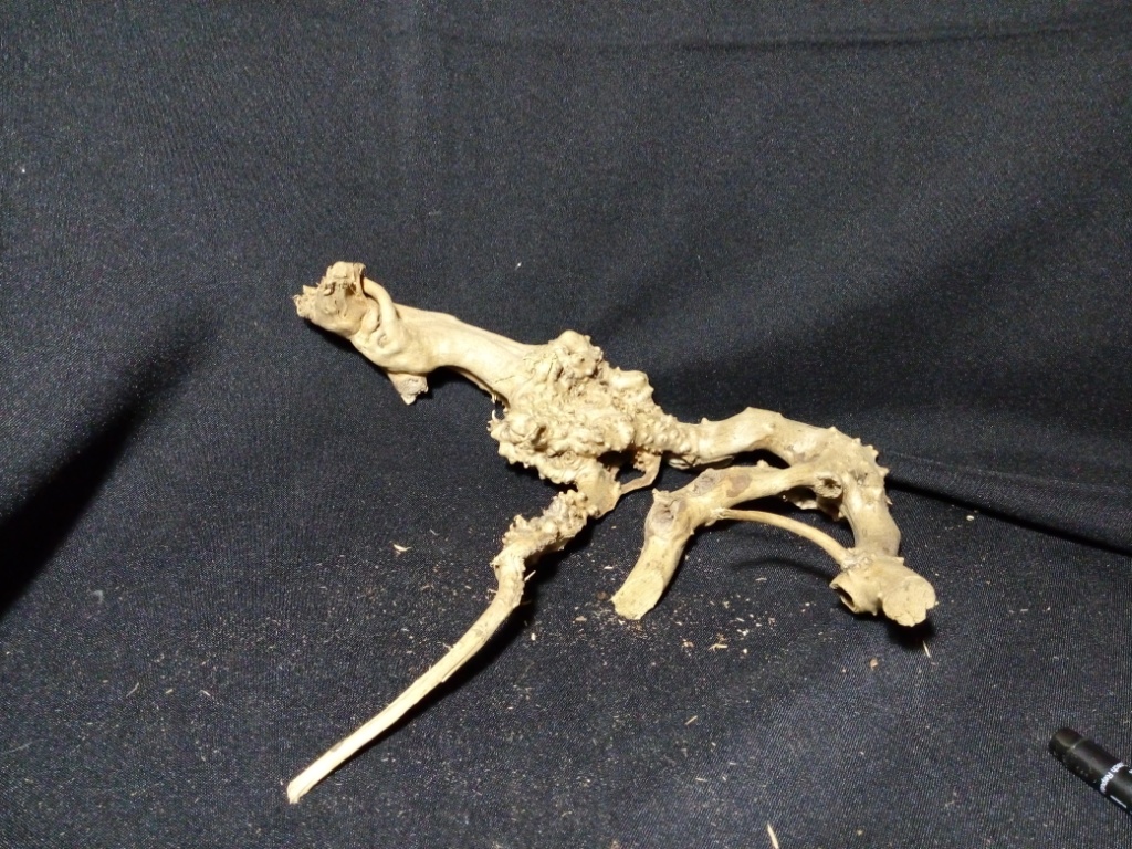 20161031 191353