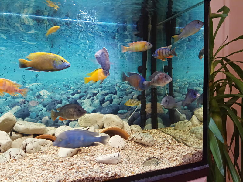 1486894345805288773726