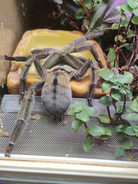 photo 2020 02 17 09 54 49