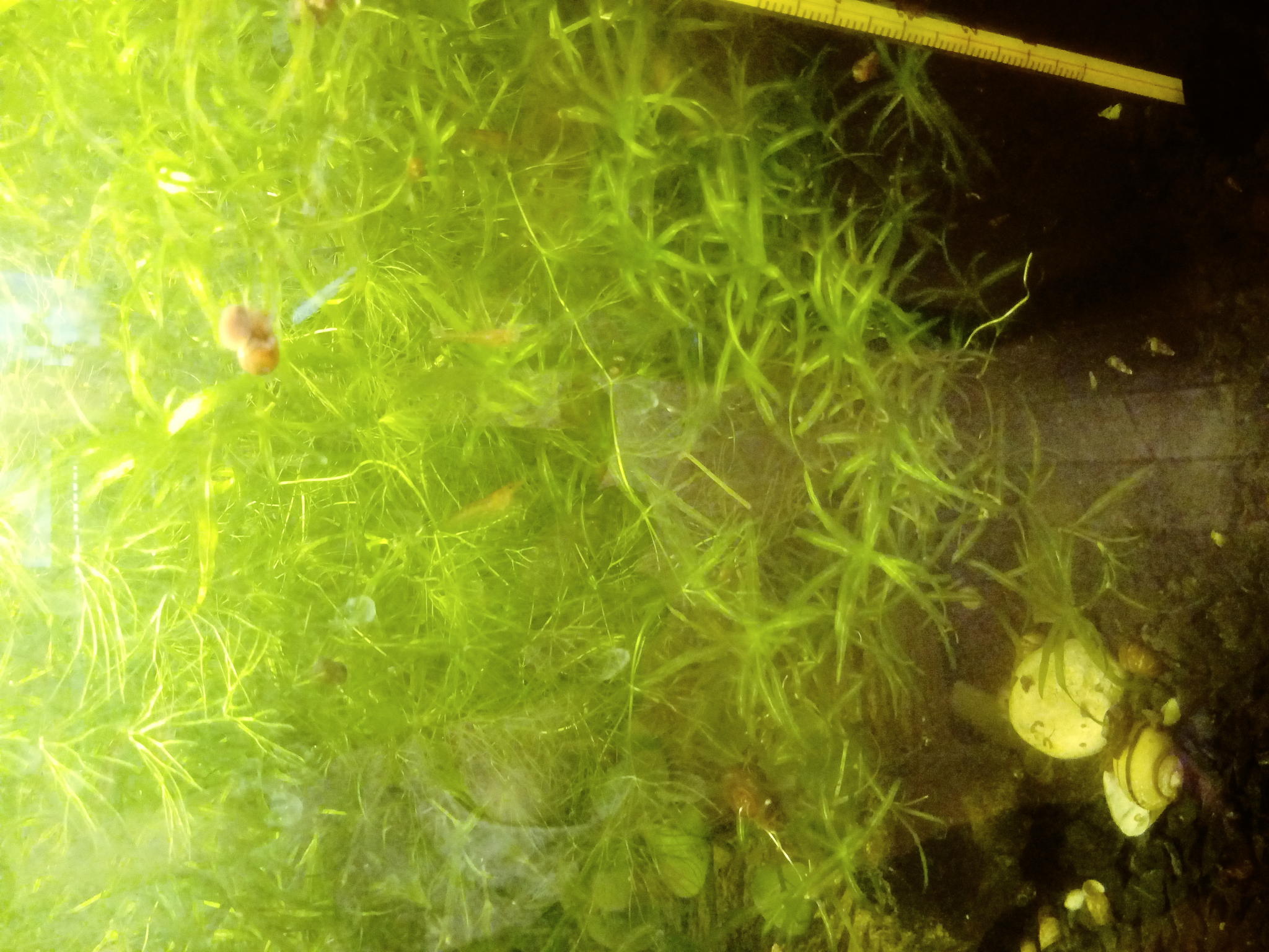 20200110 100347 Film2