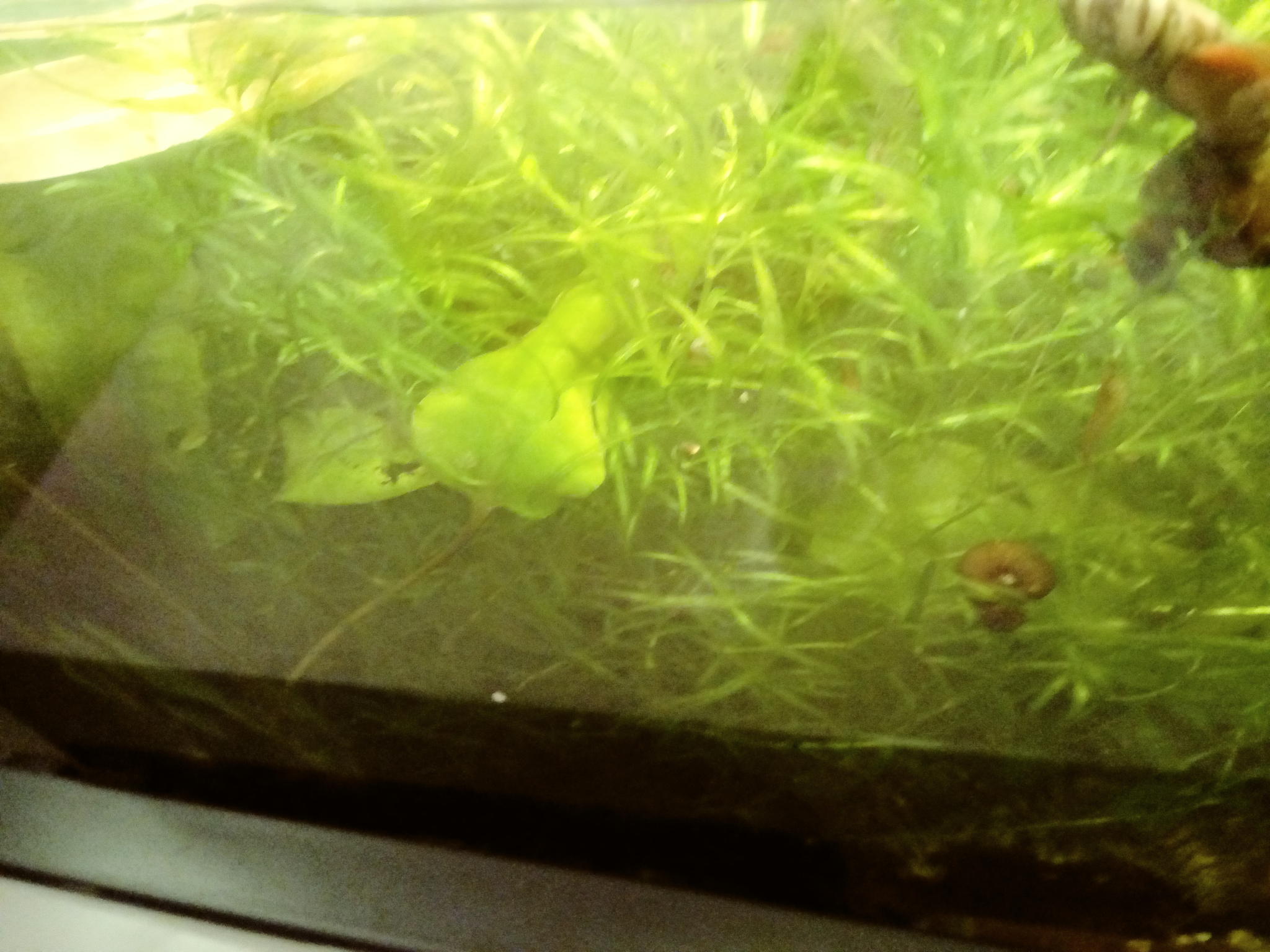 20200110 100353 Film2