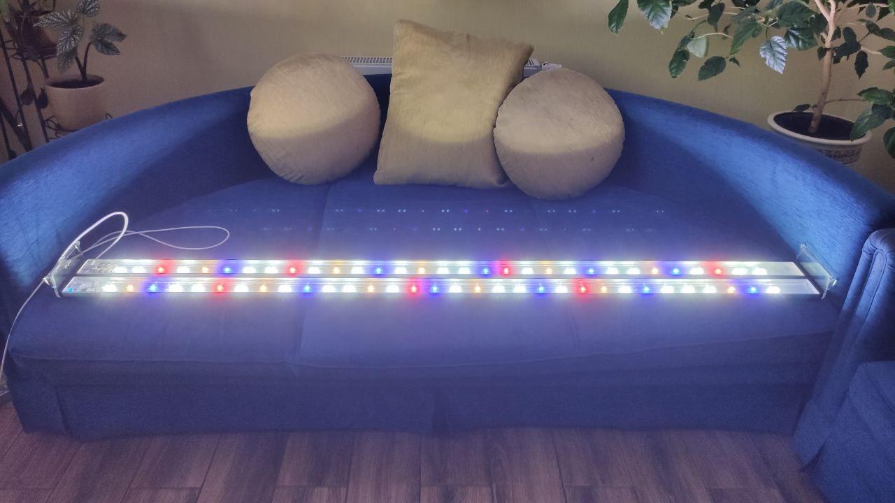 photo 2020 07 06 11 26 34 (4)