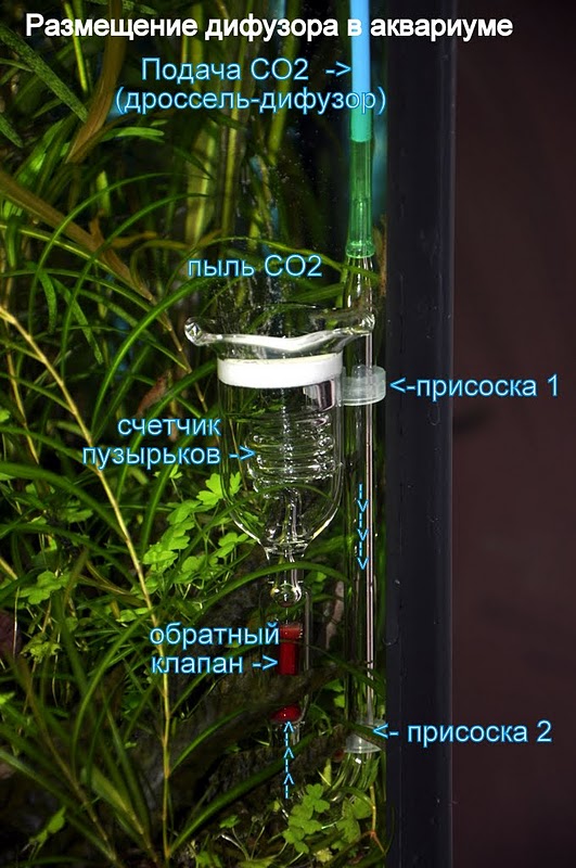   31 CO2 - 400 .