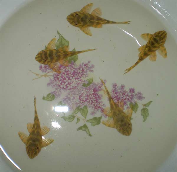 L-134.   .     . 07.12.2009