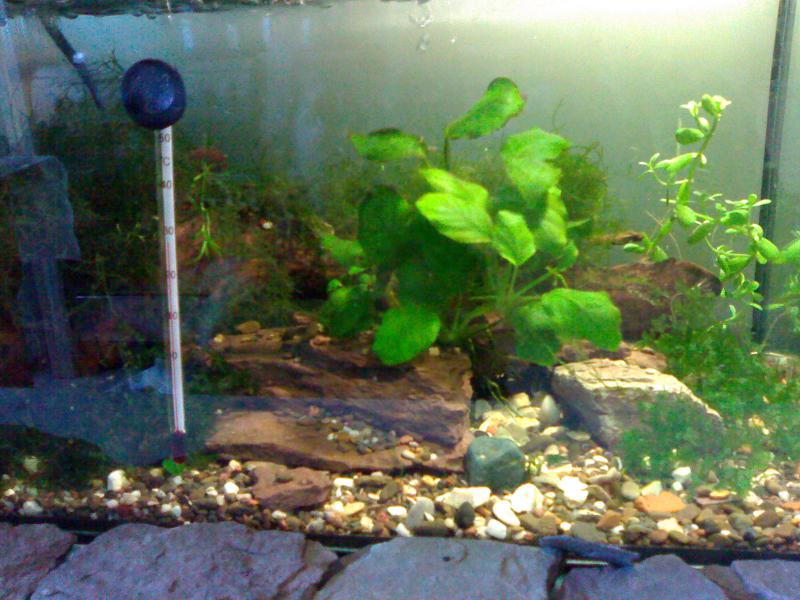  2010 -    4 6, 4 6,  ,  .  4