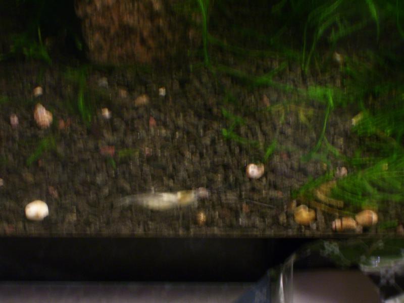 nov 076