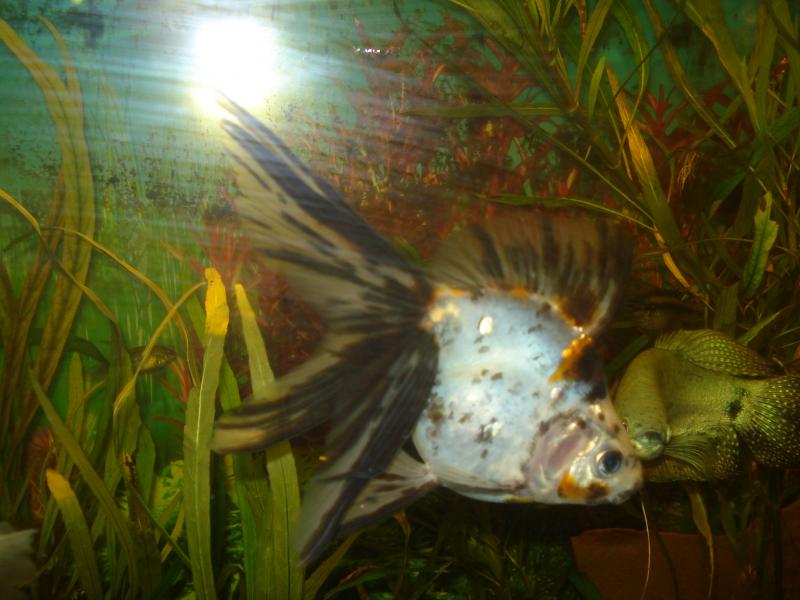 �������� 1